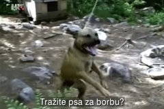 Reporteri-Borbe-pasa-2