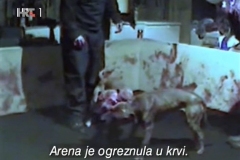 Reporteri-Borbe-pasa-7