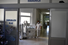 RODILISTE-4