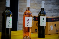 Ravni_kotari_30_09_21-58-of-121