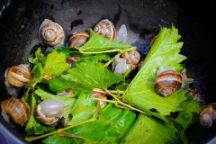 Ravni_kotari_30_09_21-65-of-121