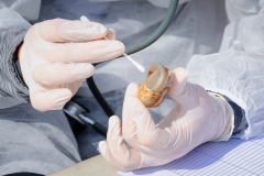 Ravni_kotari_30_09_21-69-of-121