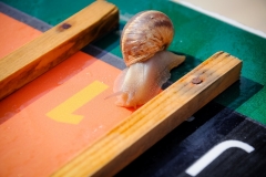 Ravni_kotari_30_09_21-72-of-121