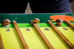 Ravni_kotari_30_09_21-74-of-121