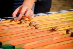 Ravni_kotari_30_09_21-77-of-121