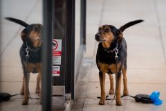 Subotnja_spica_18_01_25-4-of-45