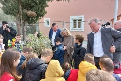 20230331_113410_resized