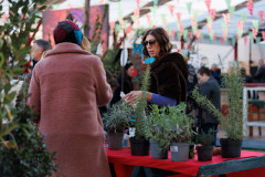 05-Subotnje-jutro-Bozicni-gramofon-na-Pijaci-6.12.2025-Foto-Bojan-Bogdanic