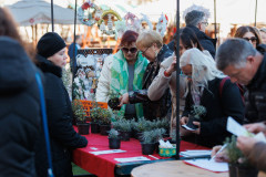 06-Subotnje-jutro-Bozicni-gramofon-na-Pijaci-6.12.2025-Foto-Bojan-Bogdanic