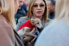 14-Subotnje-jutro-Bozicni-gramofon-na-Pijaci-6.12.2025-Foto-Bojan-Bogdanic