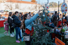 23-Subotnje-jutro-Bozicni-gramofon-na-Pijaci-6.12.2025-Foto-Bojan-Bogdanic