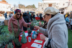 25-Subotnje-jutro-Bozicni-gramofon-na-Pijaci-6.12.2025-Foto-Bojan-Bogdanic