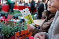 26-Subotnje-jutro-Bozicni-gramofon-na-Pijaci-6.12.2025-Foto-Bojan-Bogdanic