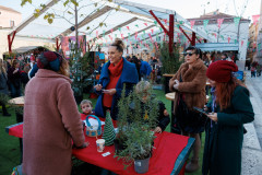30-Subotnje-jutro-Bozicni-gramofon-na-Pijaci-6.12.2025-Foto-Bojan-Bogdanic