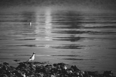 IMG_6341