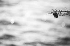 IMG_6348