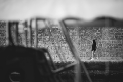 IMG_6366