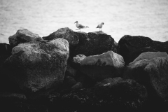 IMG_6408