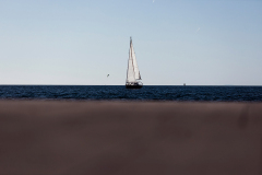 842A5242
