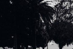 842A6296
