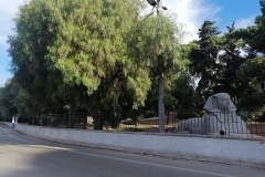 IMG_20220823_0740581