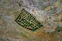 Photo /    www.stipesurac.com