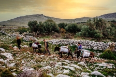 Photo /    www.stipesurac.com