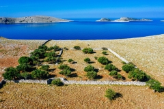 018__OLE_OLEA_stipesurac_izlozba_2023-3