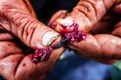 Photo /    www.stipesurac.com