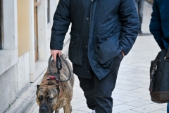 Subotnja_spica_12_02_22_-25-of-114