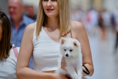 Subotnja_spica_25_06_22-81-of-92