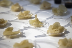 11-003-Tuna-Sushi-_-Wine-Zadar-2022-17.05.2022-foto-Fabio-Simicev_1600_1067