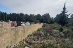 148999927_1593581880835961_7459360571748348021_n