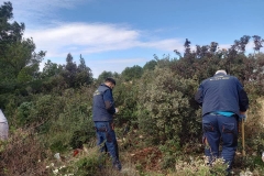 149291248_1593581920835957_6490632330101331911_n