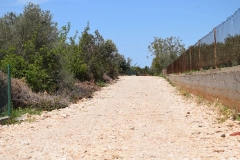 185989336_1660976070763208_42977081435904733_n