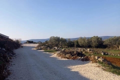 186004974_1660976377429844_5454483060650484326_n