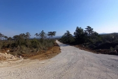 186256968_1660975890763226_646898072652173176_n