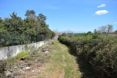 186307057_1660976130763202_1902658313230045355_n