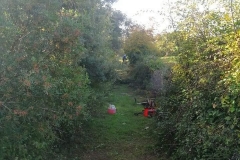 186445177_1660976507429831_2406893234013749070_n