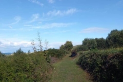 186481182_1660976044096544_8947586778981300714_n