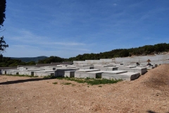 186511971_1660976160763199_9189825144435436865_n