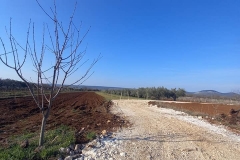 186544379_1660976000763215_6367943267392989627_n