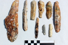 IMG_3884_1-D.-Perkic