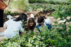 34-Noc-tvrdava-Zadar-10.5.2024-Foto-Matija-Lipar