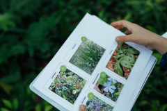 37-Noc-tvrdava-Zadar-10.5.2024-Foto-Matija-Lipar