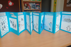 IMG_20240206_124821078