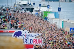 Wings_08_05_22-88-of-119