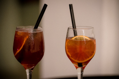 Predstavljanje_knjige_Sjecanja_-Nevenke_Benini_23_01_25-42-of-64