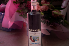 Predstavljanje_knjige_Sjecanja_-Nevenke_Benini_23_01_25-50-of-64