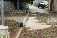 318242134_492705149622412_9025520520101936605_n